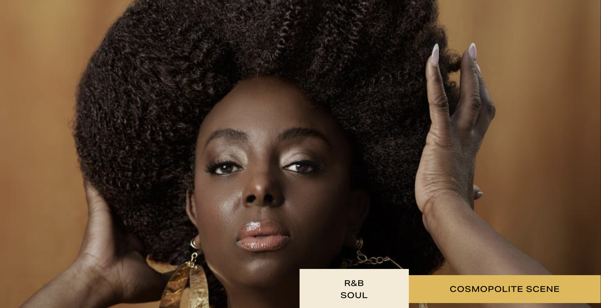 Ledisi