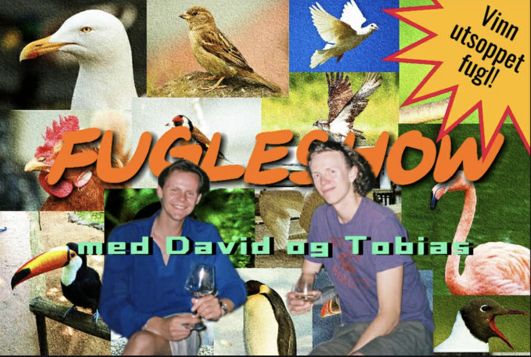 Fugleshow med David og Tobias