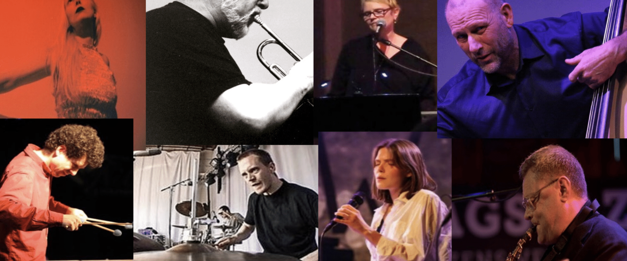 Torgrim Sollid - MESON