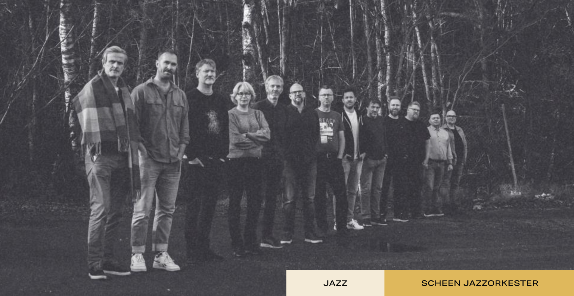 Scheen Jazzorkester & Ståle Storløkken