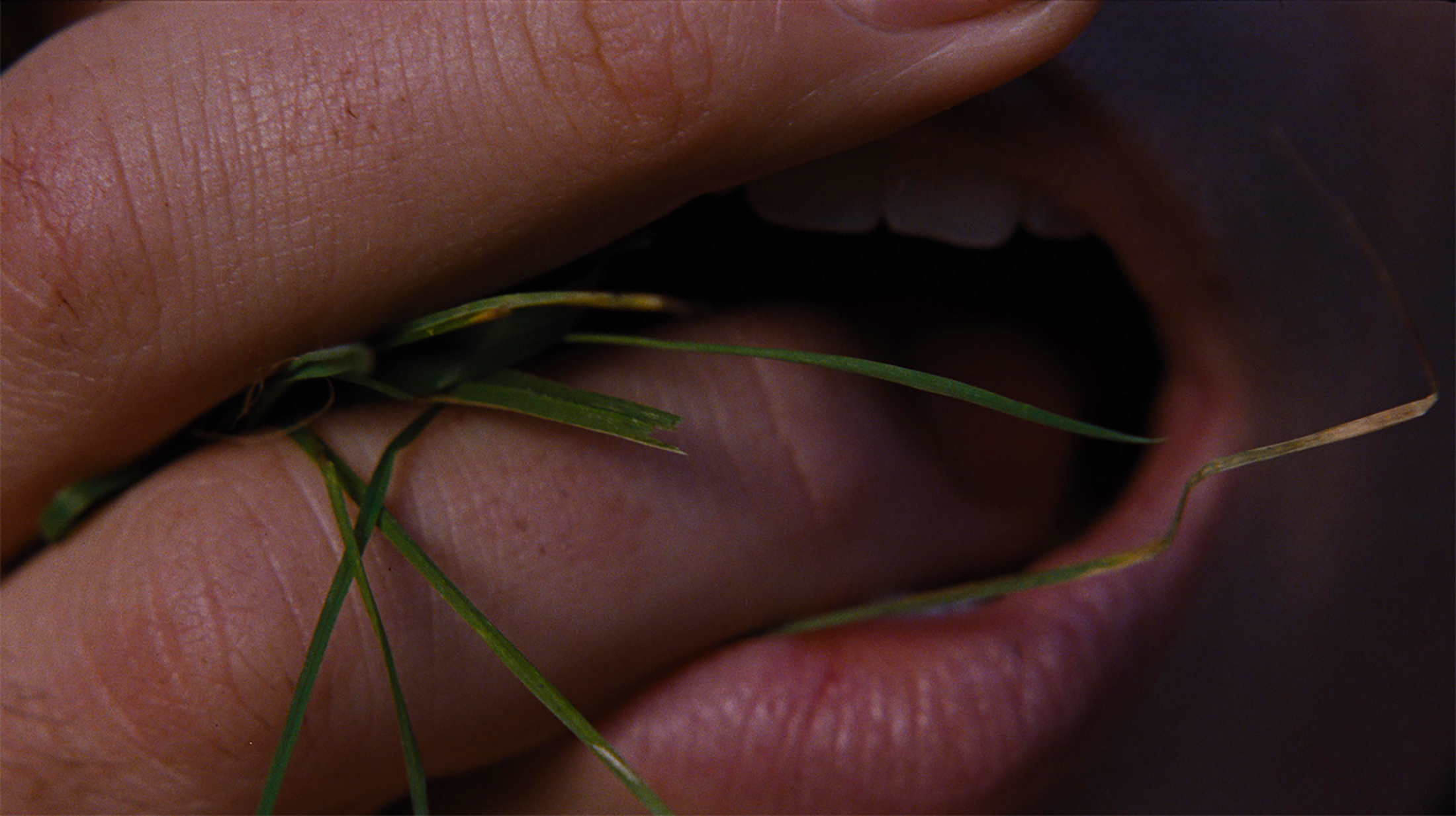 Wuthering Heights (premiere) gallery 1